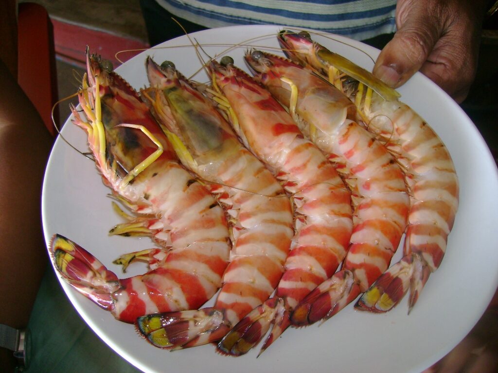 Tiger-Prawns