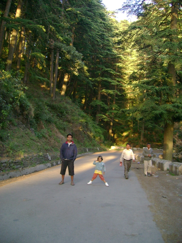 Chail-Shimla highway