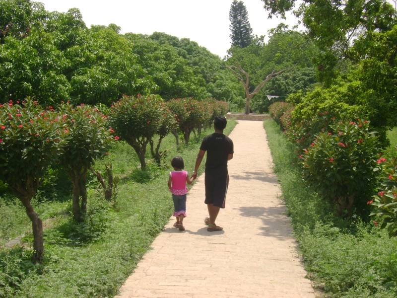 Walk through the Gardens