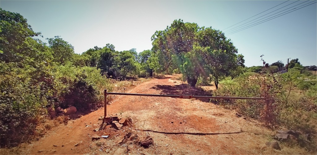 Road to Jai Vilas Palace