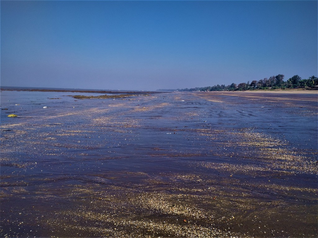 Dahanu beach - Low Tide