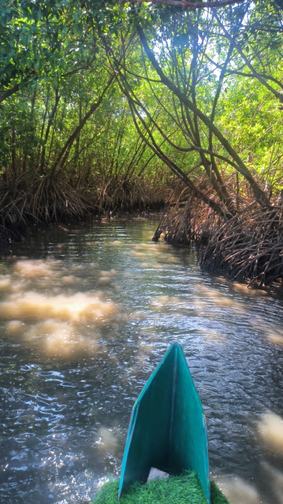 Backwater boating