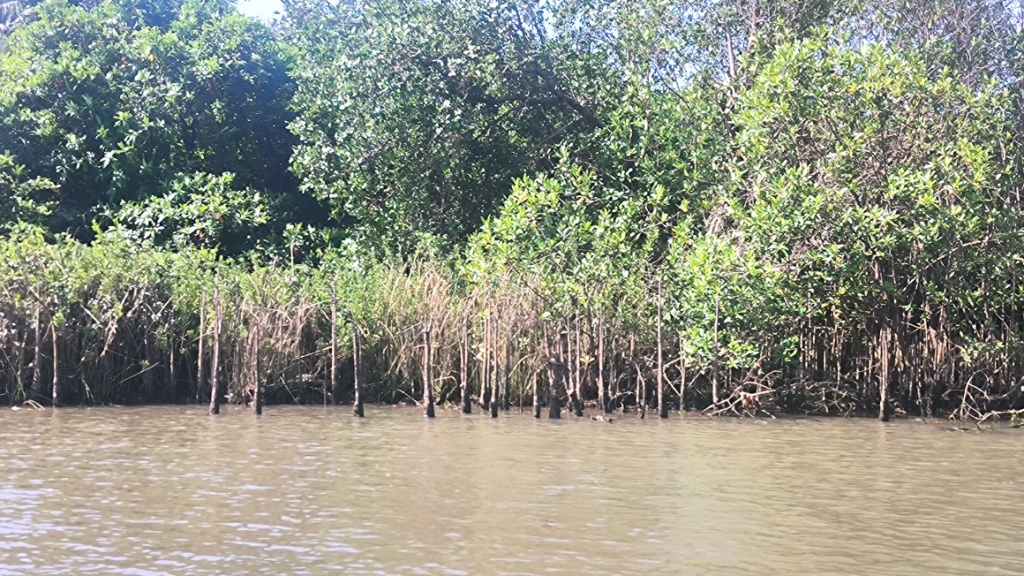 Backwater boating