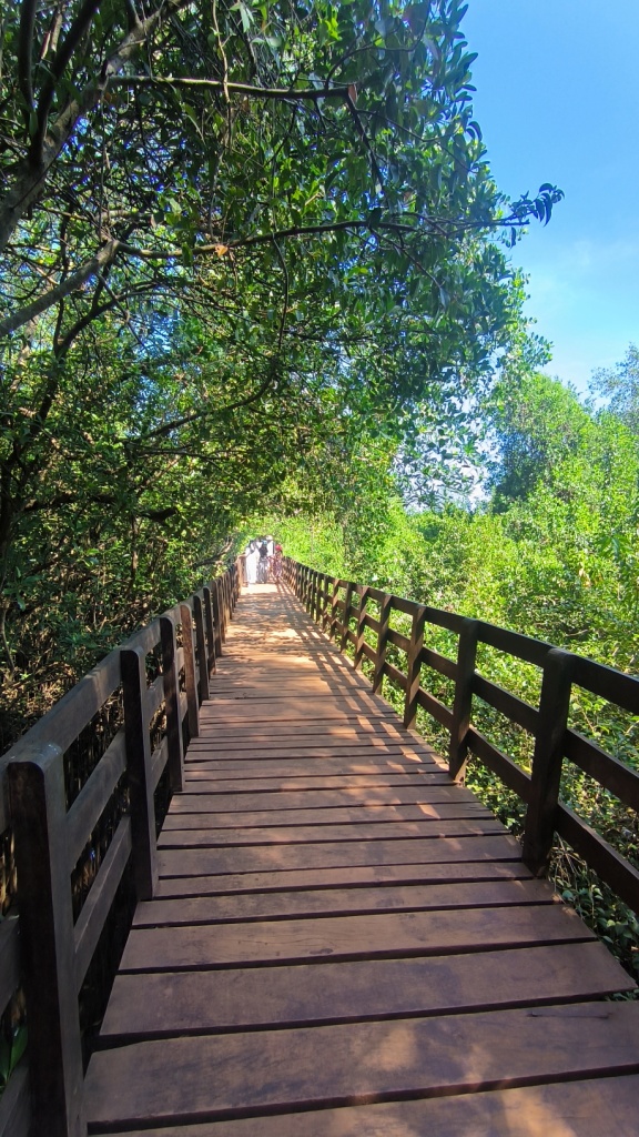 Mangrove Boardwalk