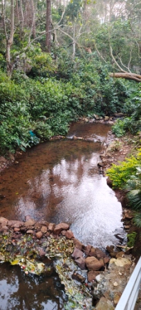 DK Resort -River stream