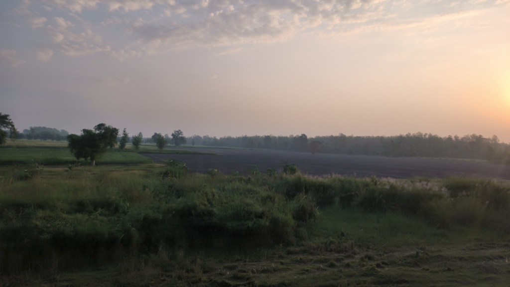 Morning view from the train