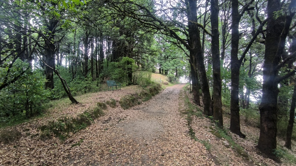 The Trek