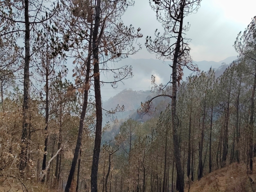 Views from Anasakti Ashram